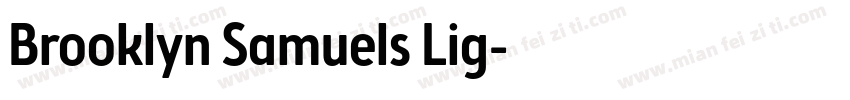 Brooklyn Samuels Lig字体转换